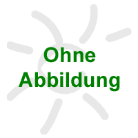 Aufsatzschraube f�r Kletterhilfe mit 2x metrischem Gewinde M6: 6x90 mm (90 mm lang)
