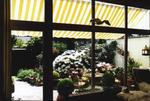 als Fenster Sonnenschutz