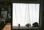 Sonnensegel 270 x 140 cm - Farbe uni wei mit 20x Laufhaken (Gleiter) #16