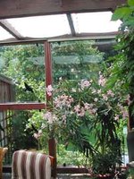 Sonnensegel 270 x 140 cm - Farbe uni hell elfenbein - unsere Top-Farbe - fr Sonnenschutz auf Balkon, Terrasse oder Pergola #18